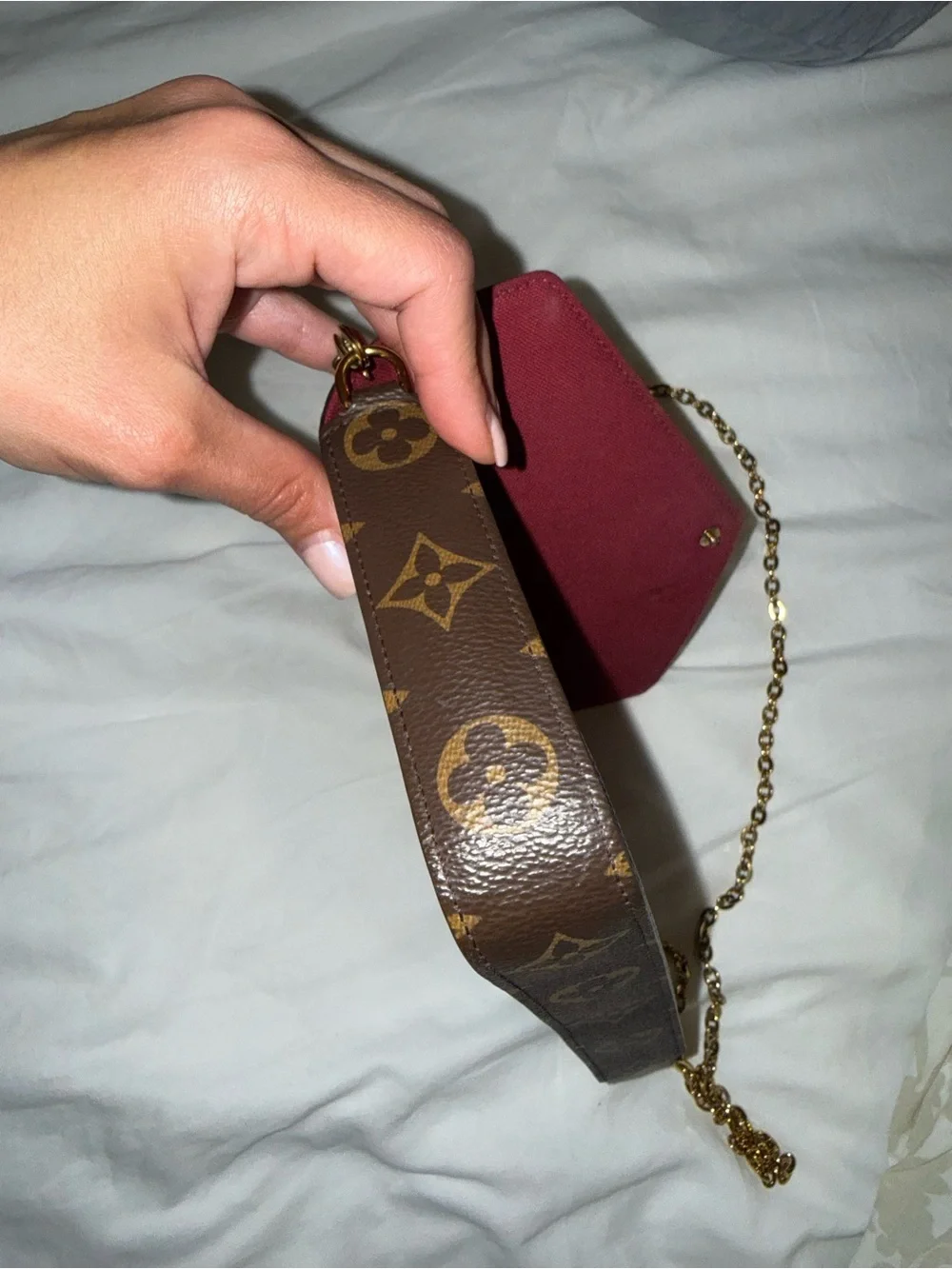 Louis Vuitton classic louis